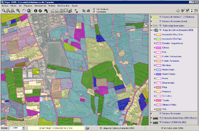 Aspecto del Mapa de Cultivos en Tenerife 