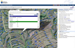 Servicio de parcelas agrícolas (SIGPAC) en el visor de IDECanarias