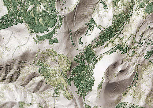 Zona con vegetación en el Modelo de Terreno LIDAR