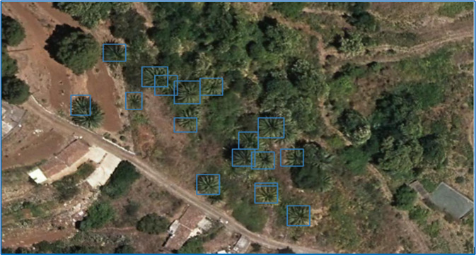 Generación y actualización de cartografías mediante Inteligencia Artificial